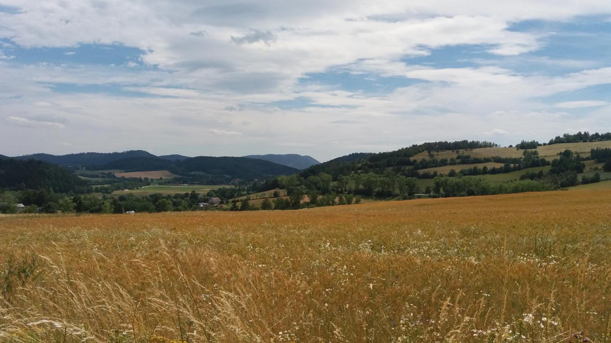 Maraska Holiday House Kamienna Gora Zewnętrze zdjęcie